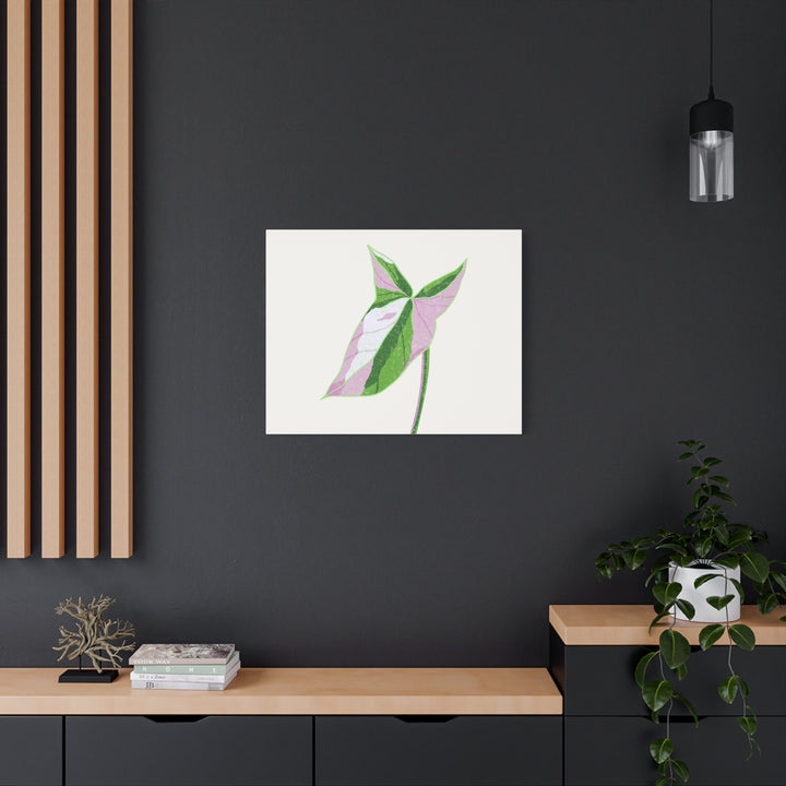 Syngonium Tricolor Canvas Print – Botanical Wall Art - The Potted Pixel