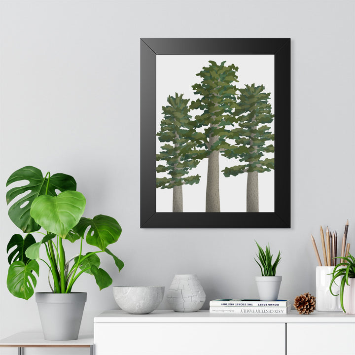 Sitka Spruce Framed Print – Wall Art