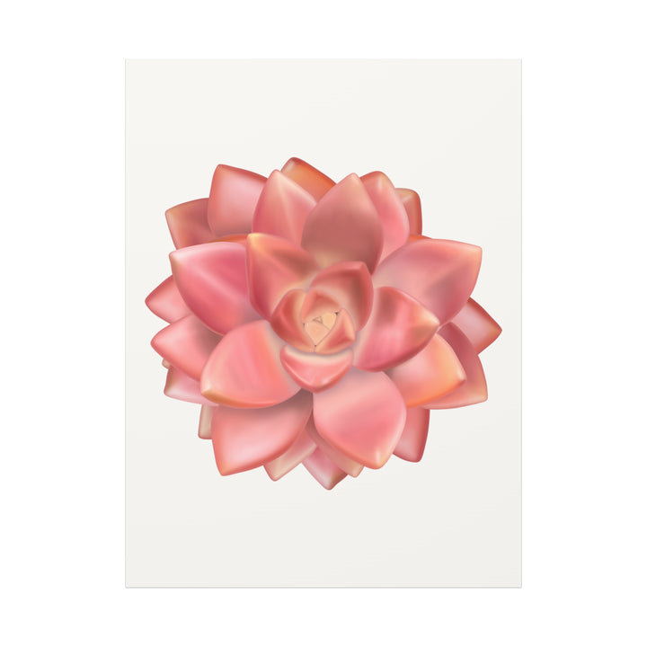 Succulent Canvas Art California Sunset Rosette Botanical Wall Art Print The Potted Pixel