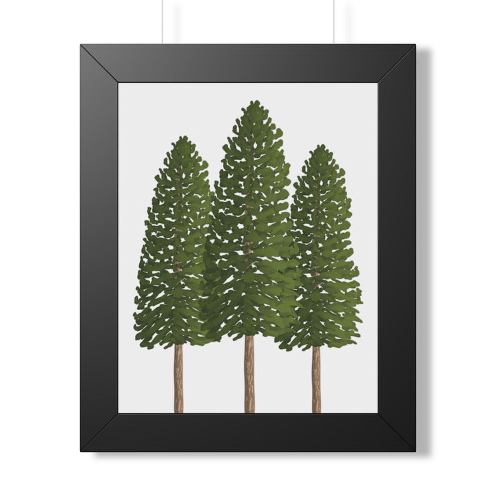 Ponderosa Pine Framed Print – Wall Art