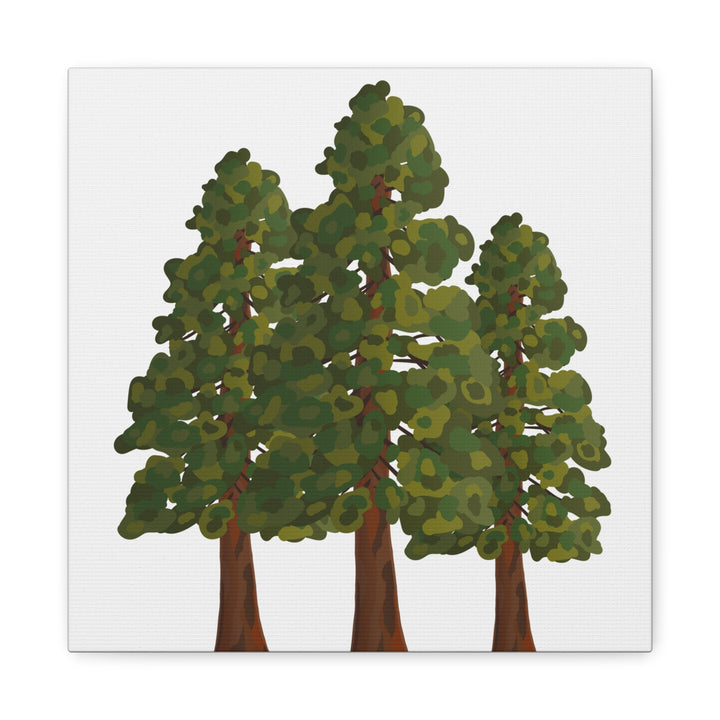 Coastal Redwoods Matte Canvas Print On 1.25 Inch Stretched Canvas For Serene Forest Wall Art In Living Rooms