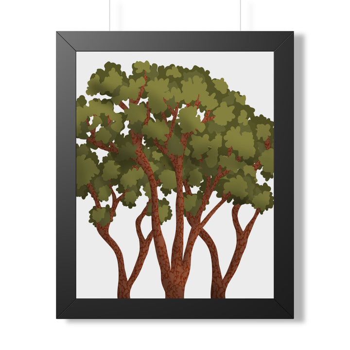 Pacific Madrone Framed Print – Wall Art