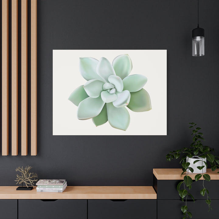 Succulent Canvas Art Pachyveria Haagei Print On Matte Finish Canvas Botanical Wall Decor