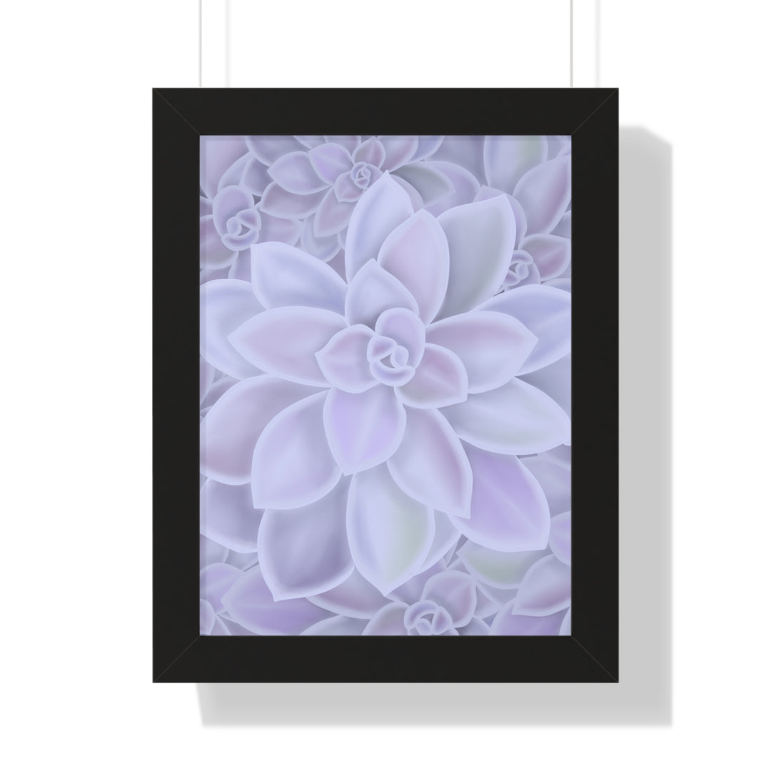 Graptopetalum Murasaki Succulent Framed Print – Botanical Wall Art - The Potted Pixel