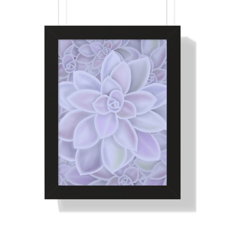 Graptopetalum Murasaki Succulent Framed Print – Botanical Wall Art - The Potted Pixel