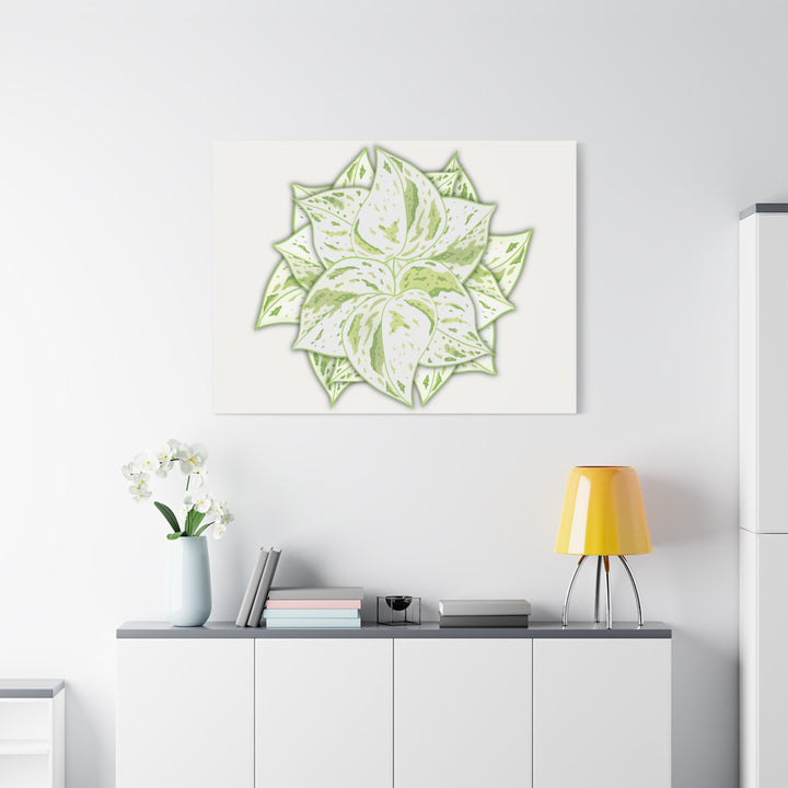 Snow Queen Pothos Canvas Wall Art Variegated Indoor Plant Leaf Poster Print Cotton Canvas