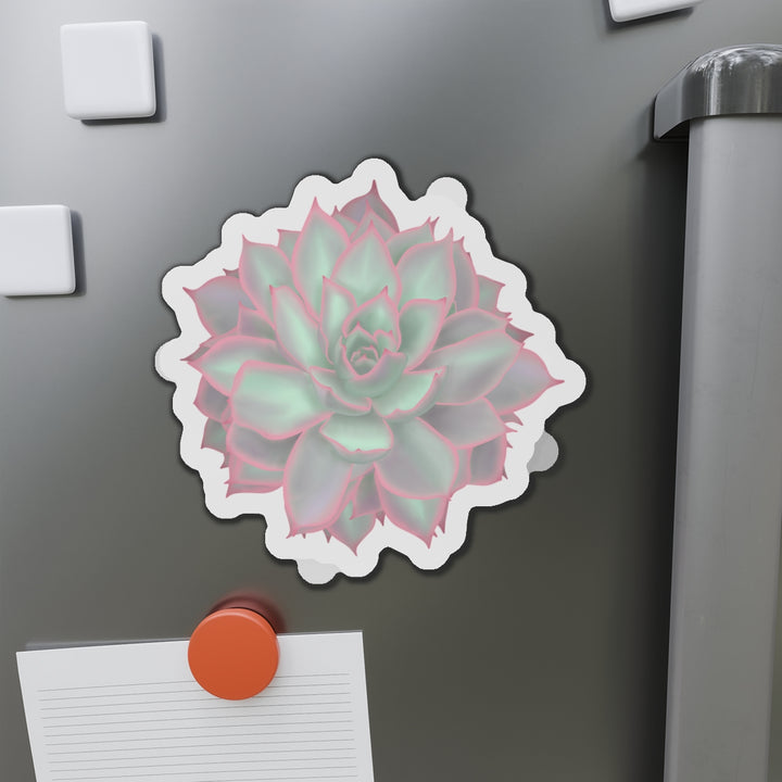 Echeveria Violet Queen Succulent Magnet