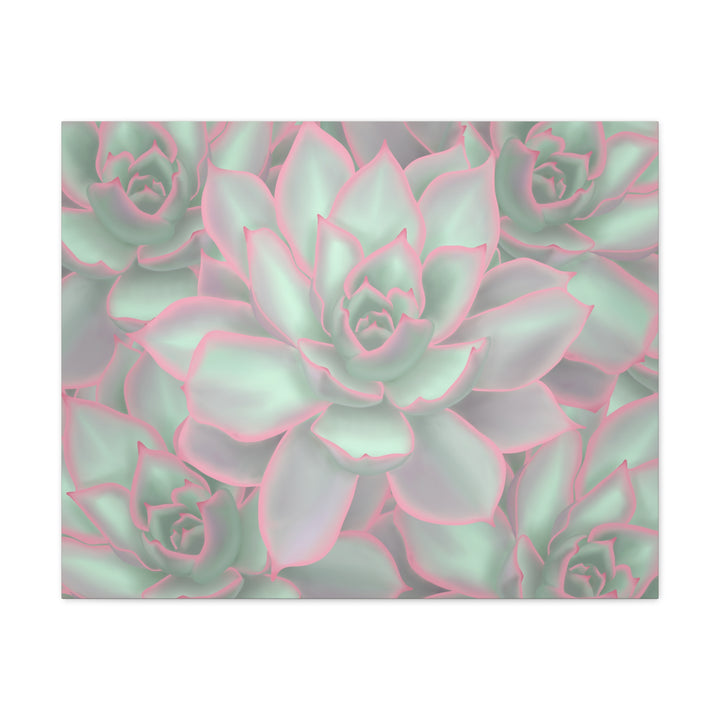 Echeveria Violet Queen Canvas Wall Art Succulent Print Matte Botanical Decor For Indoor Spaces