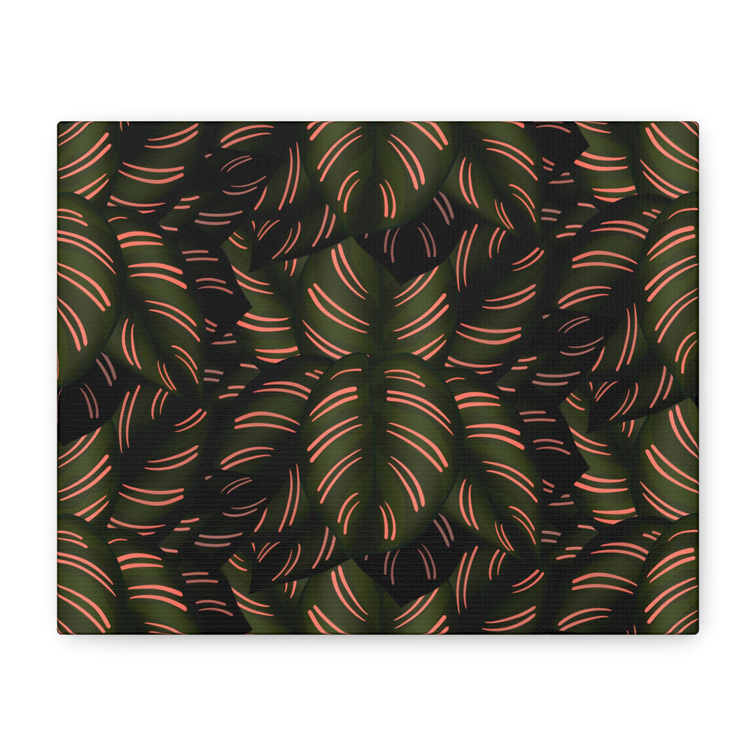 Calathea Pinstripe Canvas Print With Matte Finish Stretched Botanical Wall Art For Living Room Decor