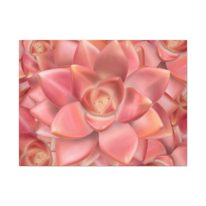 Graptosedum California Sunset Succulent Canvas Print – Botanical Wall Art - The Potted Pixel