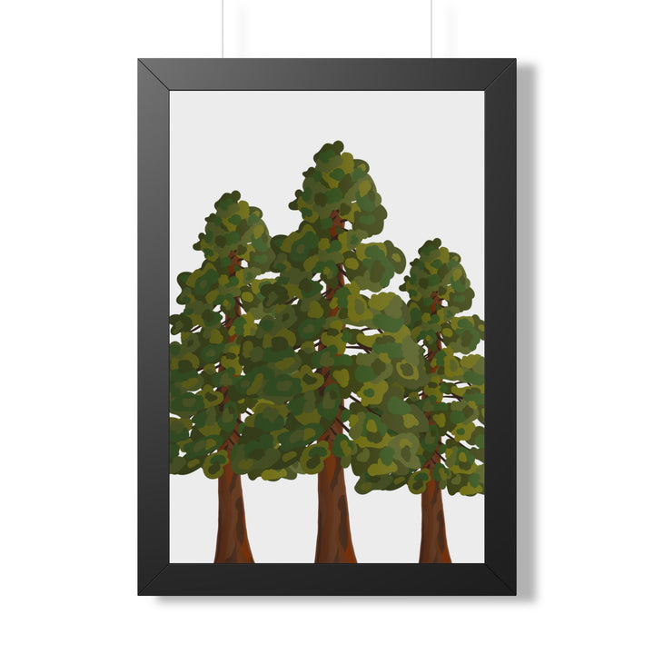 Coastal Redwood Framed Print – Wall Art