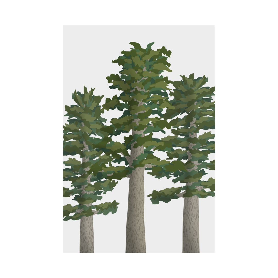 Sitka Spruce Print – Unframed Wall Art