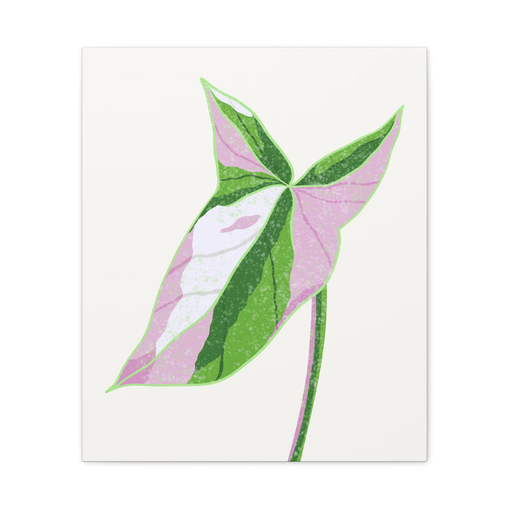 Syngonium Tricolor Canvas Print – Botanical Wall Art - The Potted Pixel