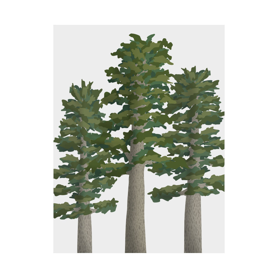 Sitka Spruce Print – Unframed Wall Art
