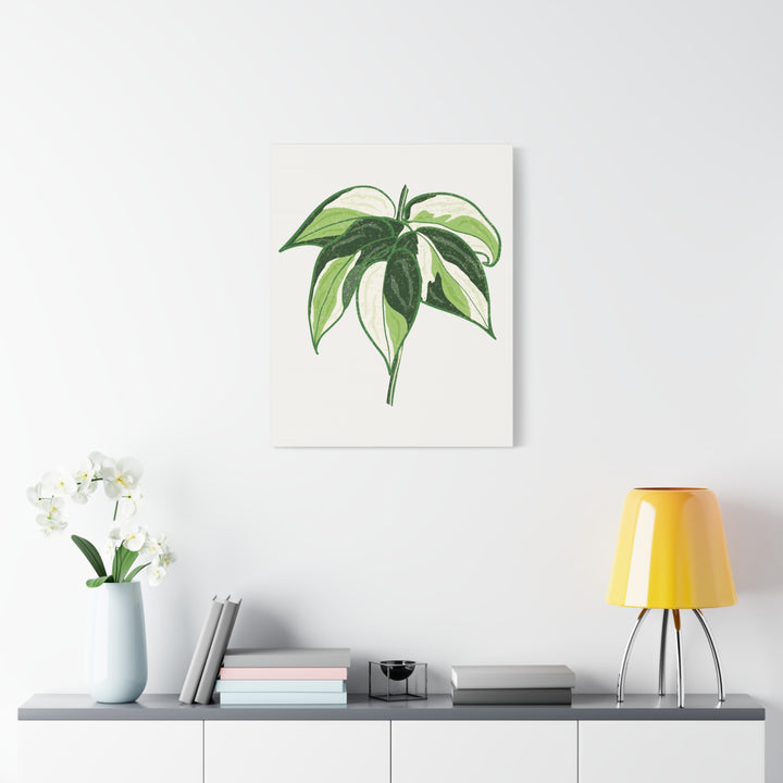 Philodendron Canvas Print Cream Splash Variegated Plant Art On Matte Cotton Canvas For Home Wall Decor