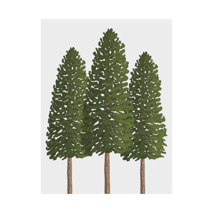 Ponderosa Pine Print – Unframed Wall Art
