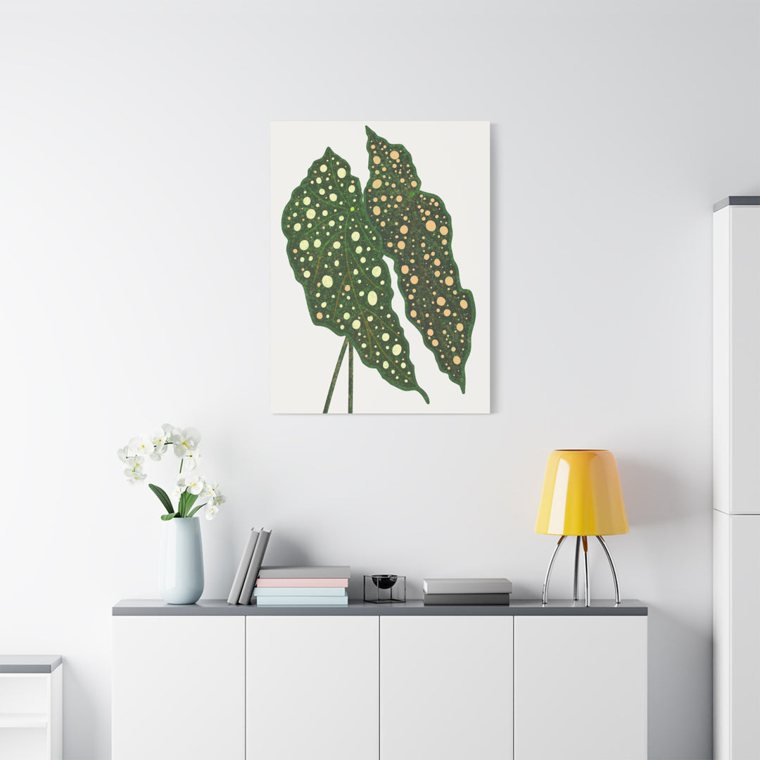 Begonia Maculata Canvas Premium Botanical Wall Art Print On Cotton Canvas With Matte Finish For Indoor Decor