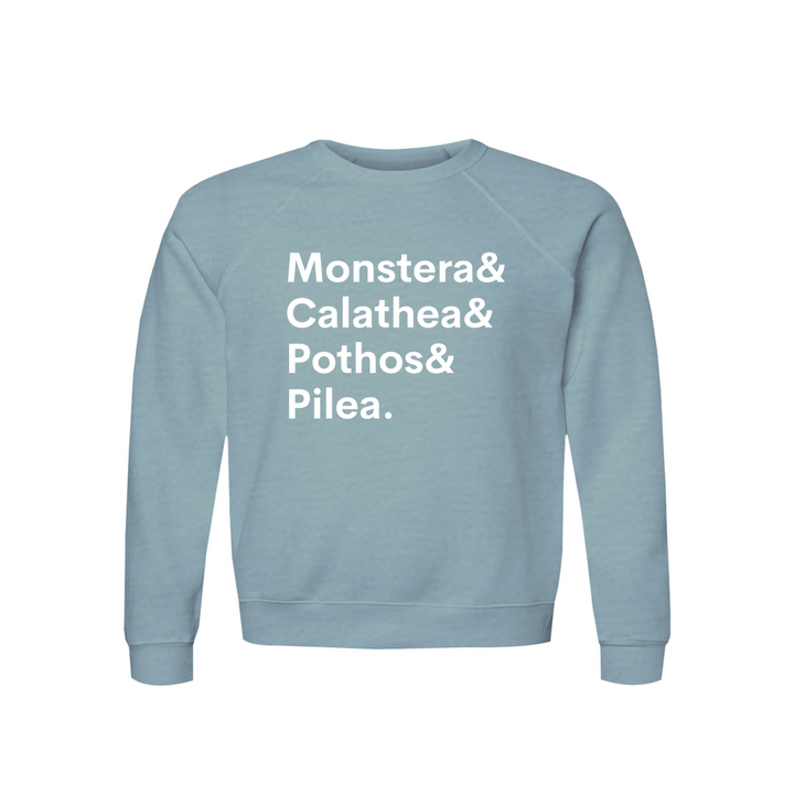 Apparel-DTG-Sweatshirt-Bella-3901-2XL-HeatherBlueLagoon-Unisex-CF-20260810201232516