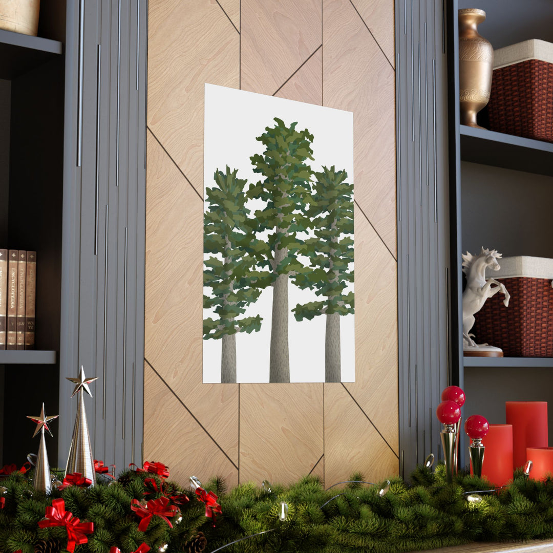 Sitka Spruce Print – Unframed Wall Art