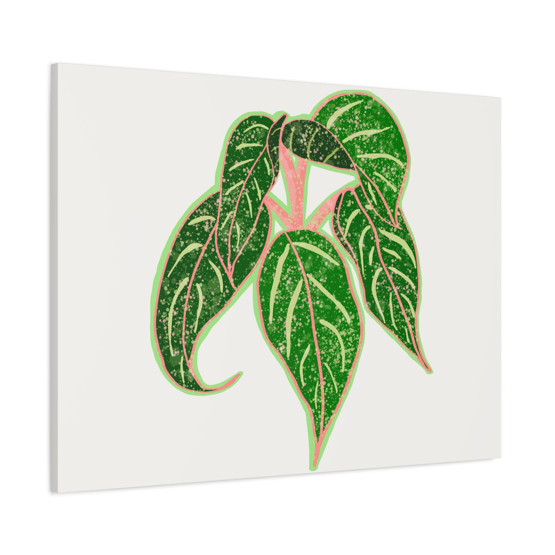 Aglaonema Sparkling Sarah Botanical Canvas Print On Matte Stretch Canvas For Modern Living Room Decor