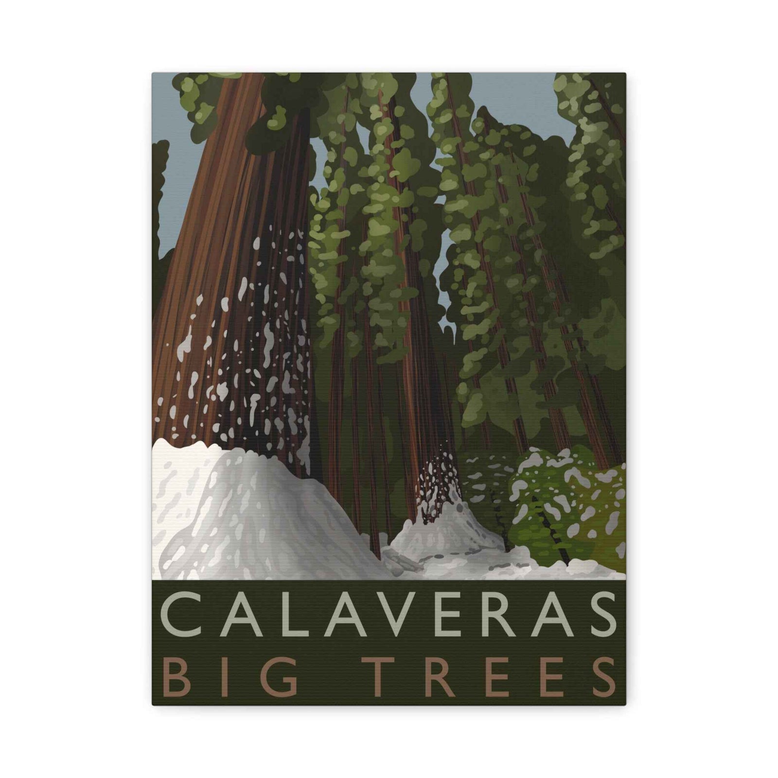 Calaveras Big Trees Minimalist Canvas