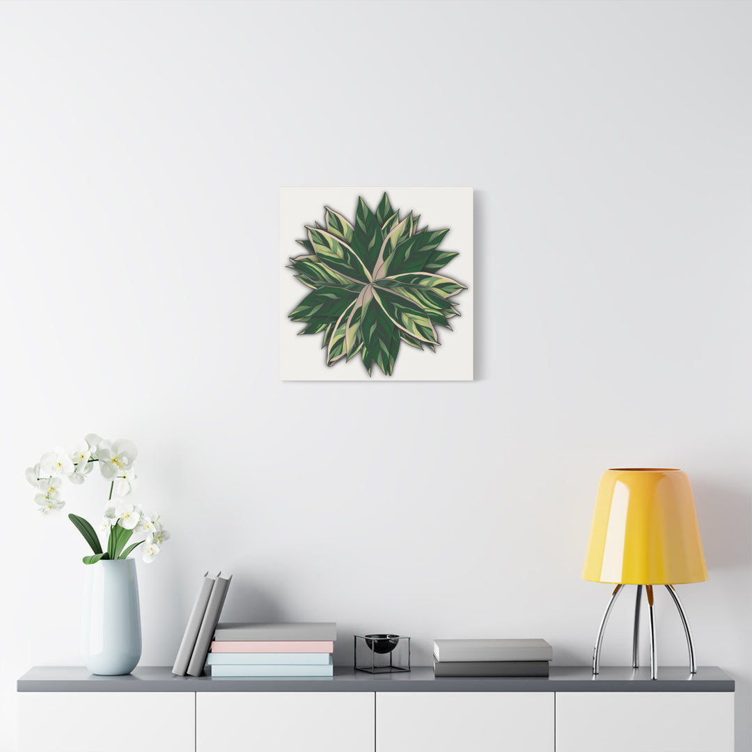 Stromanthe Triostar Canvas Wall Art Premium Matte Finish On Durable 1.25 Inch Frame For Vibrant Indoor Tropical Decor