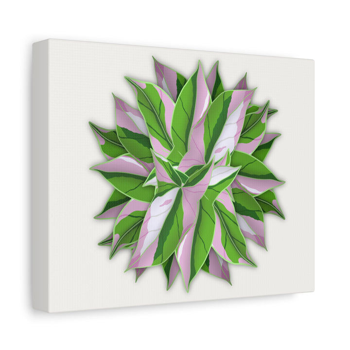 Syngonium Tricolor Canvas Print – Botanical Wall Art - The Potted Pixel