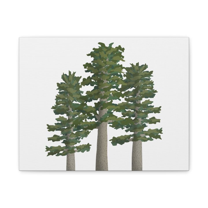 Sitka Spruce Canvas Print – Wall Art
