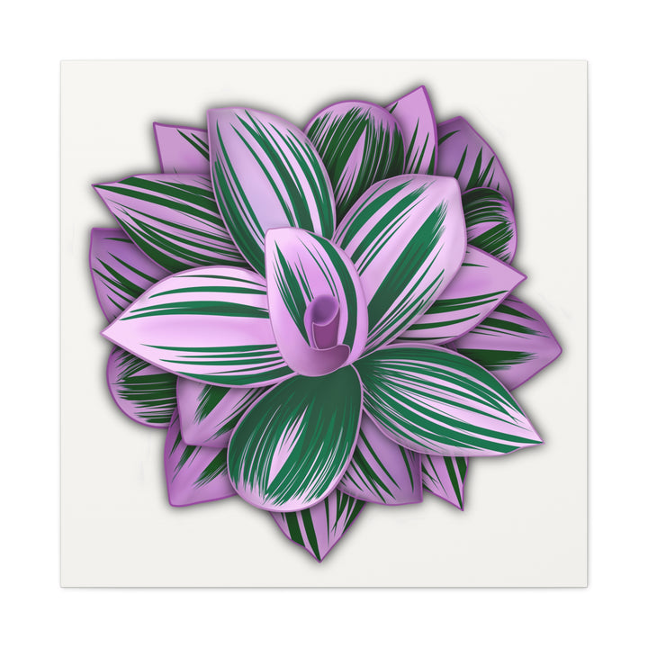 Tradescantia Nanouk Canvas Botanical Wall Art Print Pink Green Foliage On Stretched Cotton Canvas