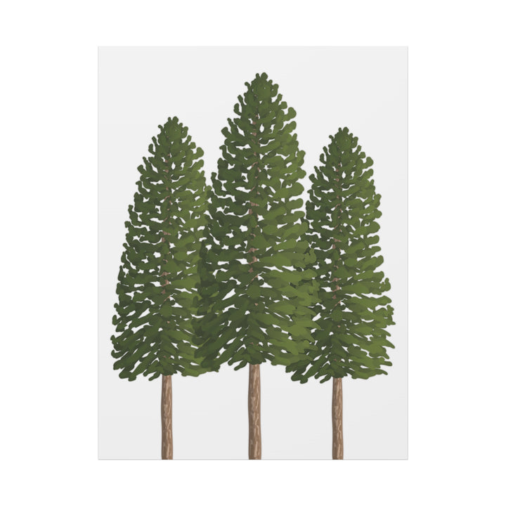 Three Ponderosa Pine Canvas Wall Art Matte Stretched Print Minimalist Forest Landscape Decor