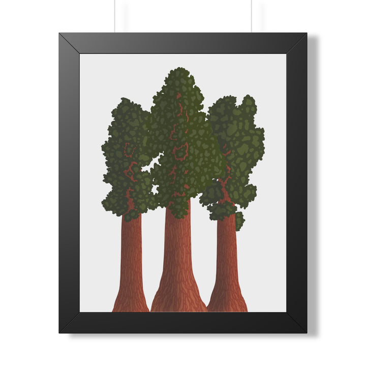 Giant Sequoias Framed Print – Wall Art
