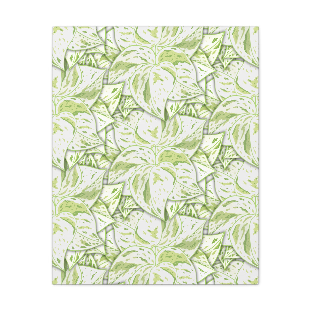 Snow Queen Pothos Canvas Print With Variegated White Leaves In Matte Finish For Modern Home Decor