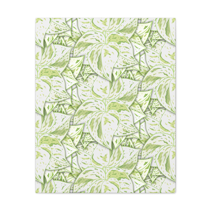 Snow Queen Pothos Canvas Print With Variegated White Leaves In Matte Finish For Modern Home Decor