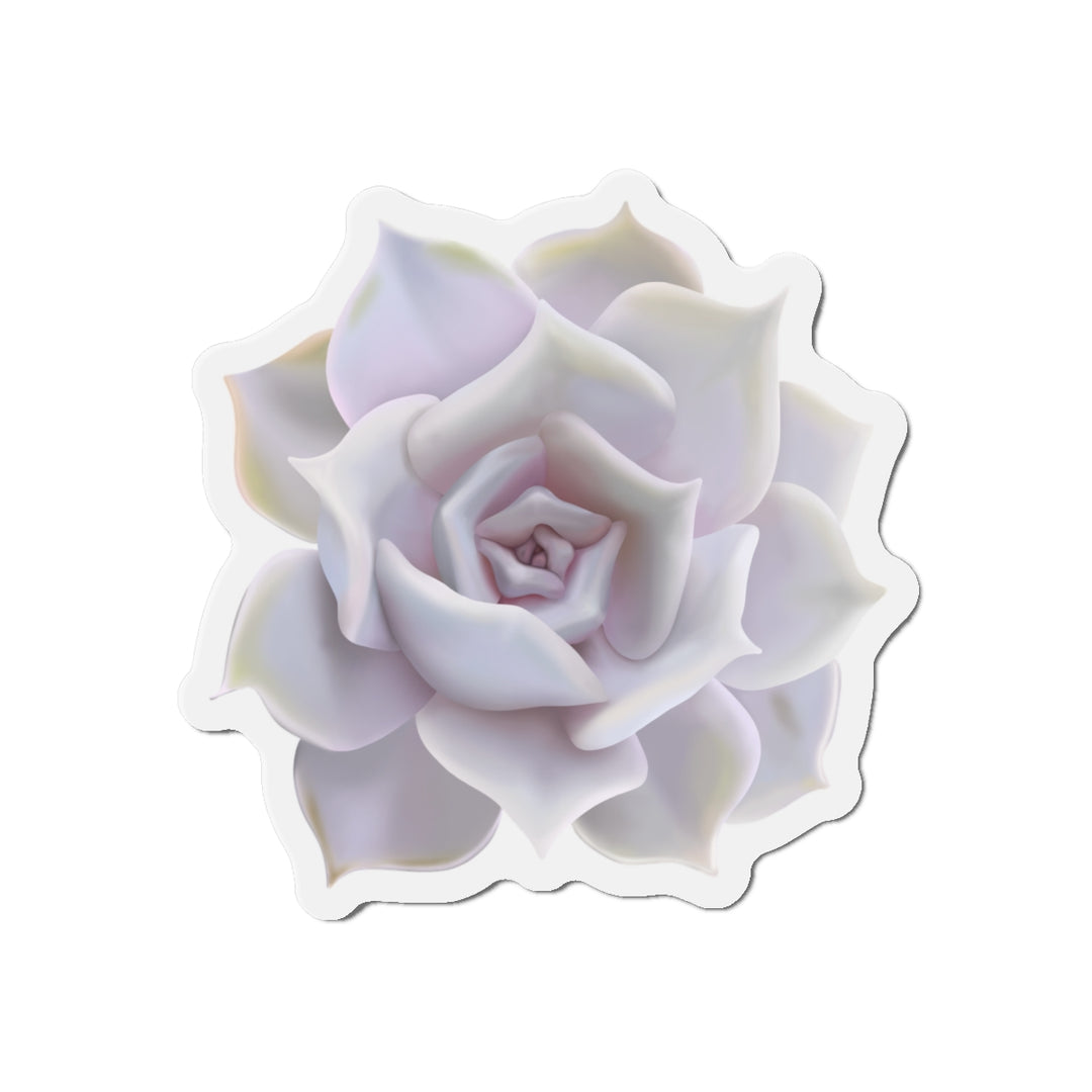 Echeveria Lilacina Succulent Magnet
