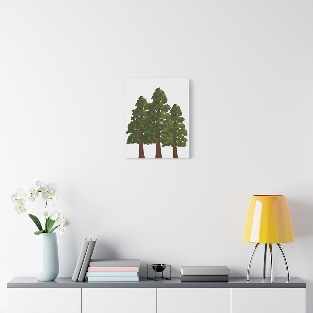 Coastal Redwoods Matte Canvas Print On 1.25 Inch Stretched Canvas For Serene Forest Wall Art In Living Rooms