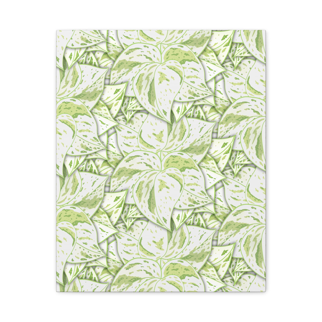 Snow Queen Pothos Canvas Print With Variegated White Leaves In Matte Finish For Modern Home Decor