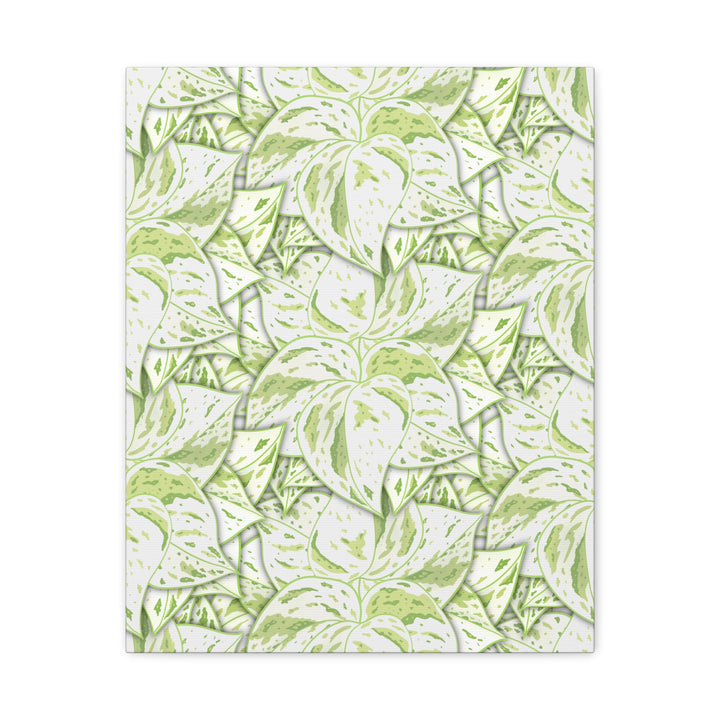 Snow Queen Pothos Canvas Print With Variegated White Leaves In Matte Finish For Modern Home Decor