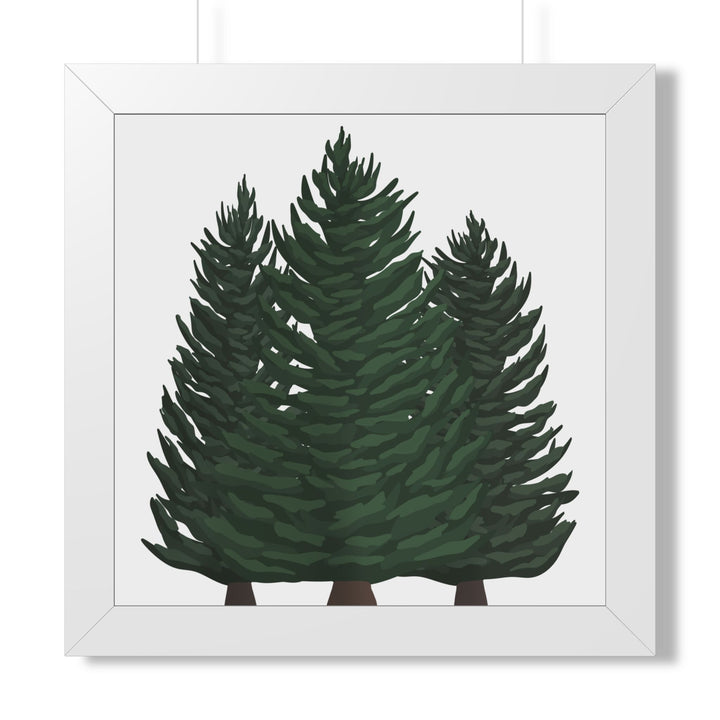 Douglas Fir Framed Print – Wall Art