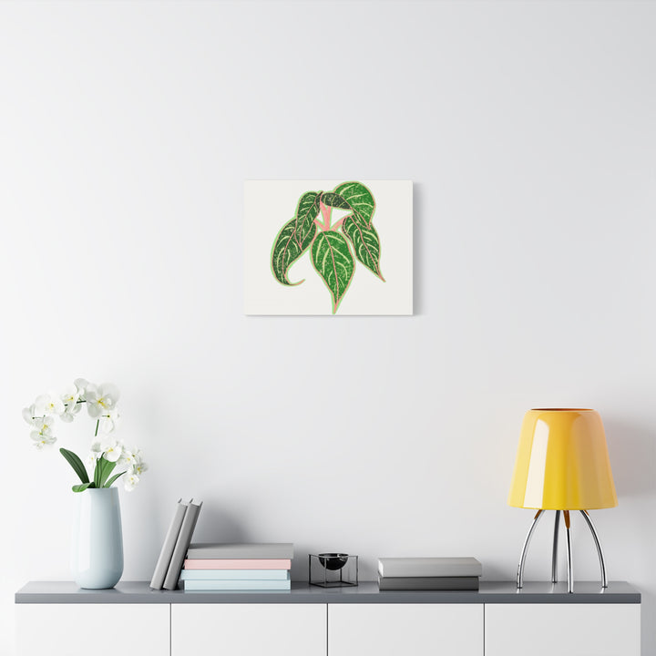 Aglaonema Sparkling Sarah Botanical Canvas Print On Matte Stretch Canvas For Modern Living Room Decor