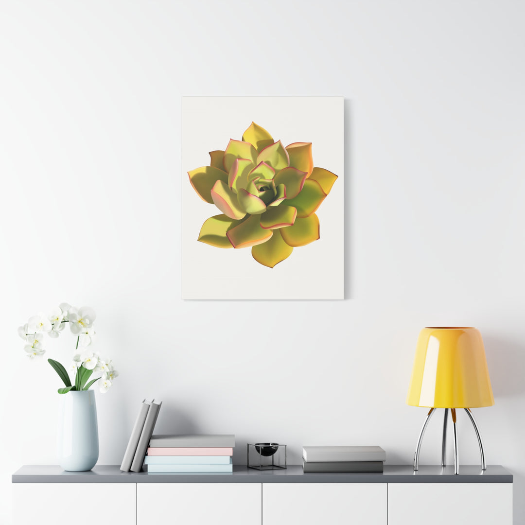 Noble Aeonium Succulent Canvas Wall Art Print for Modern Home Decor by The Potted Pixel