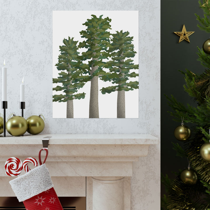 Sitka Spruce Print – Unframed Wall Art