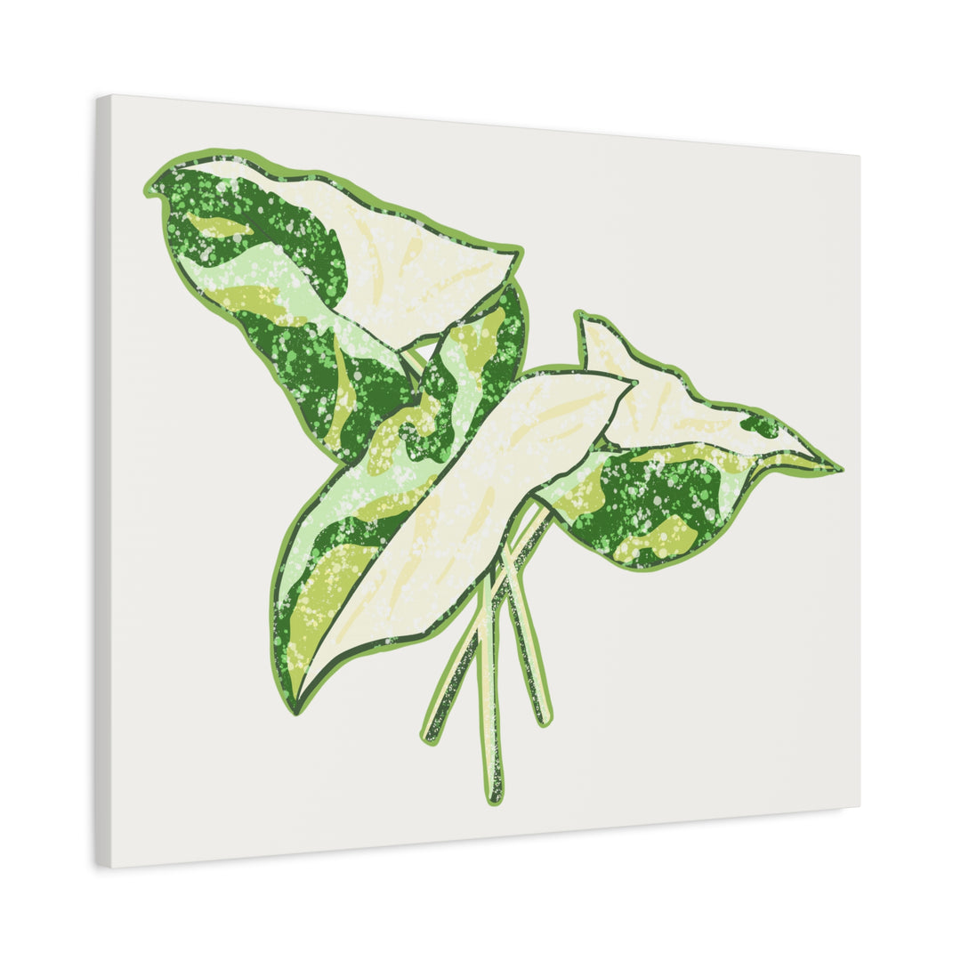 Marble Syngonium Canvas Botanical Wall Art Stretched Print On Durable Cotton Canvas Matte Finish