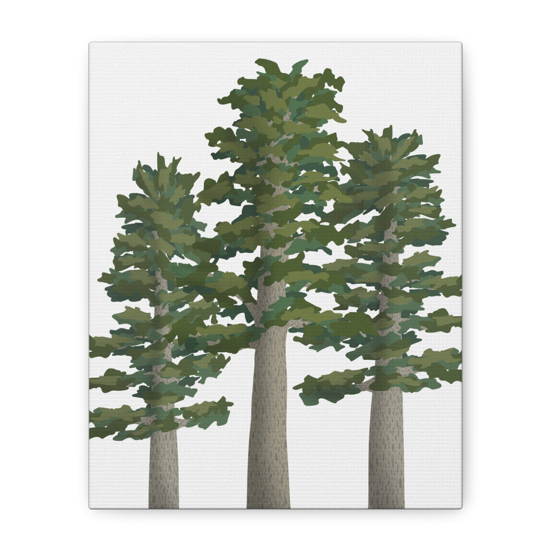 Sitka Spruce Canvas Print – Wall Art