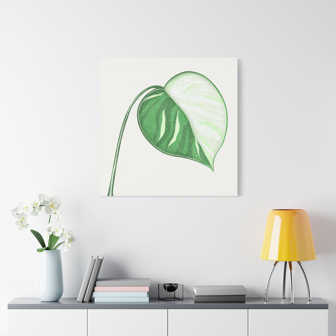 Monstera Albo Canvas Large Stretched Premium Quality Cotton Canvas Wall Art Tropical Leaf Poster Decor