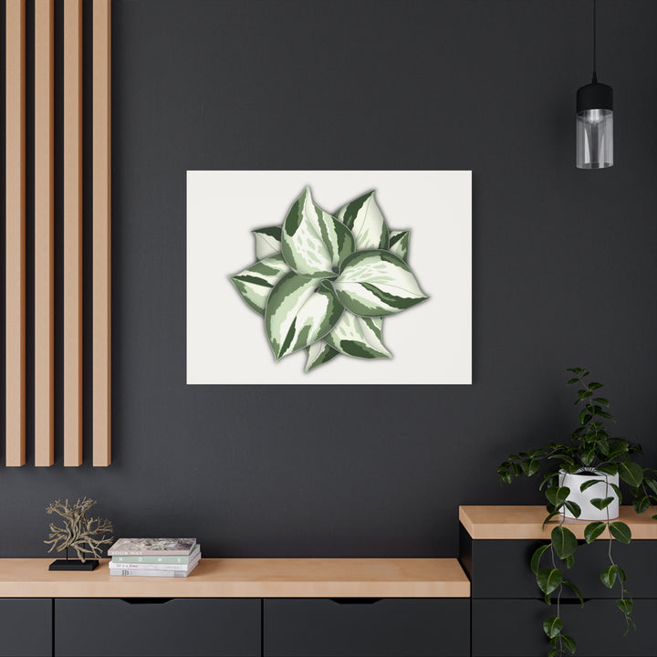 Manjula Pothos Canvas Print Stretched Matte Canvas Wall Art For Living Room And Office