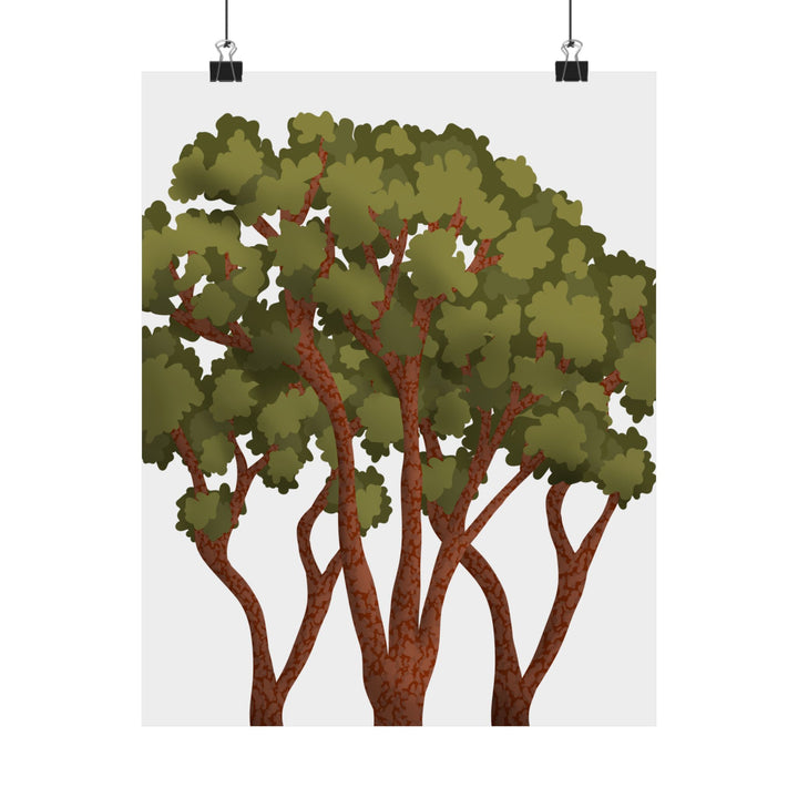 Pacific Madrone Print – Unframed Wall Art