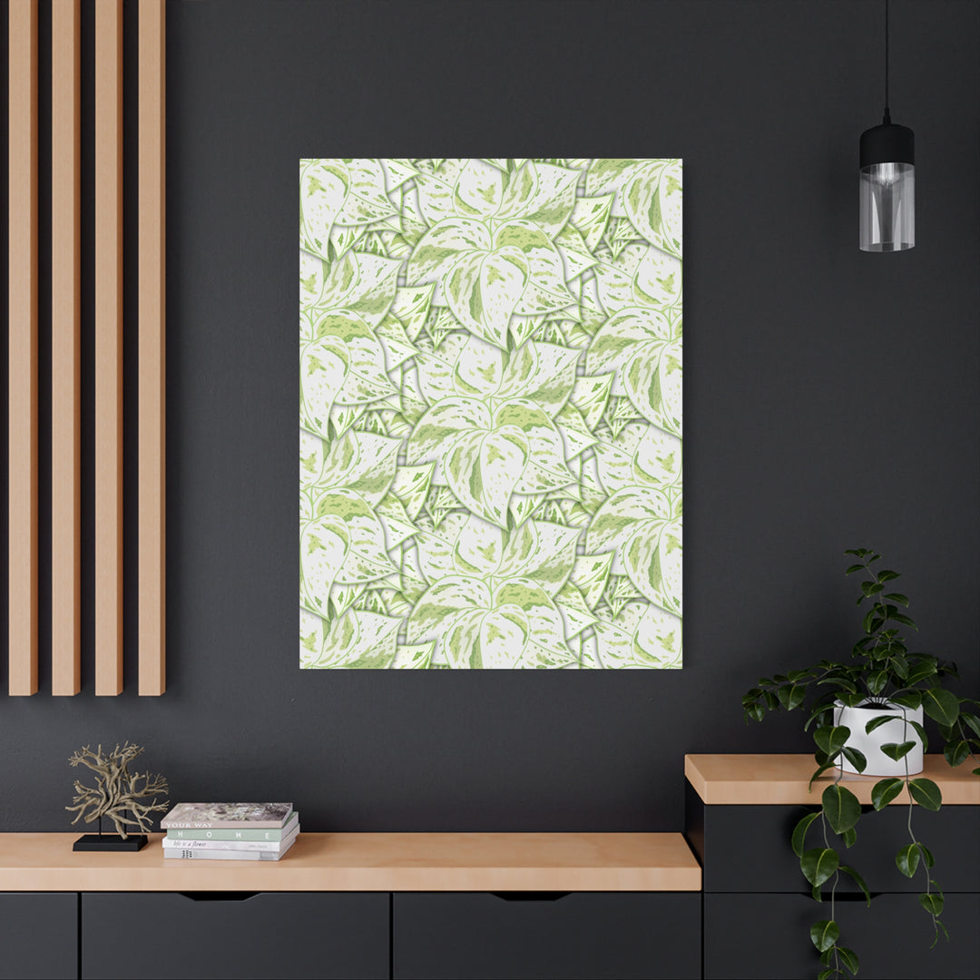 Snow Queen Pothos Canvas Print With Variegated White Leaves In Matte Finish For Modern Home Decor