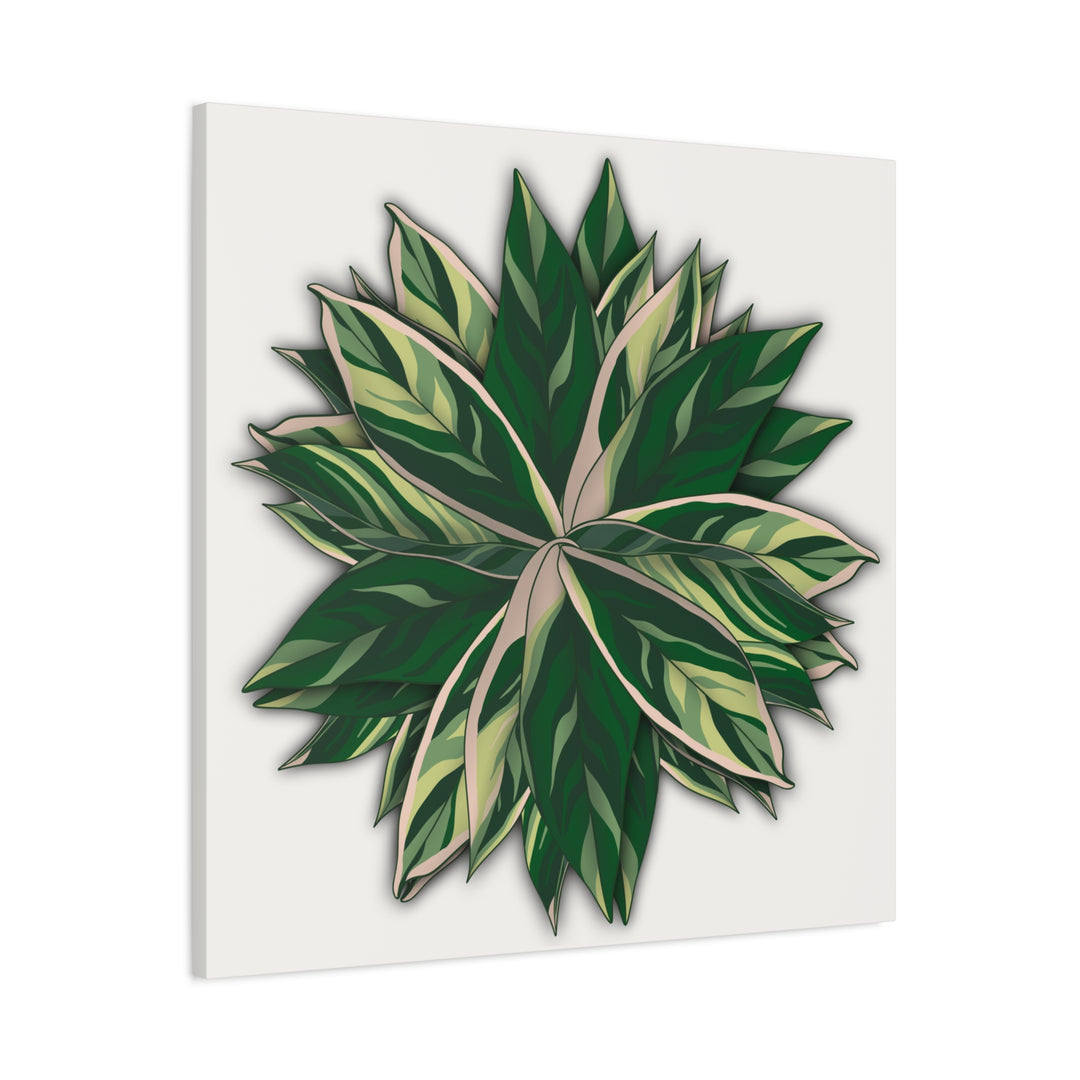 Stromanthe Triostar Canvas Wall Art Premium Matte Finish On Durable 1.25 Inch Frame For Vibrant Indoor Tropical Decor