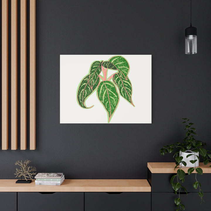 Aglaonema Sparkling Sarah Botanical Canvas Print On Matte Stretch Canvas For Modern Living Room Decor