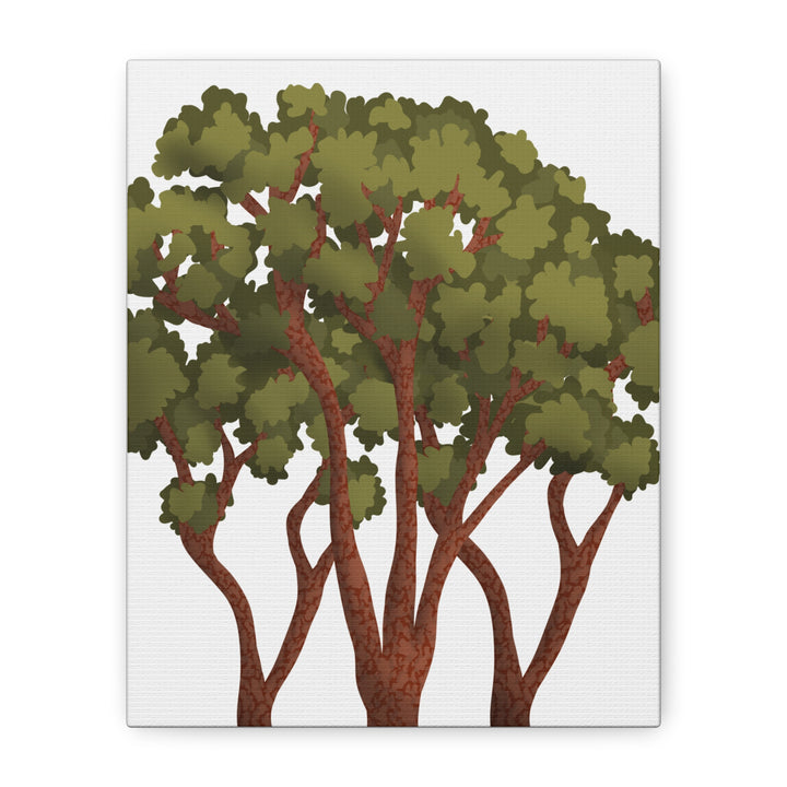 Pacific Madrone Canvas Print – Wall Art